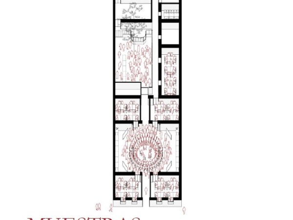 El proyecto dentro del&nbsp;proyecto